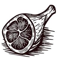 Intricate black and white of a lemon slice with textured detail vector