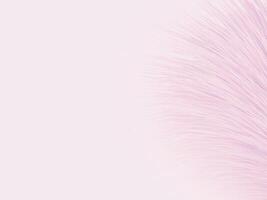 A pink fluffy fur on a light pink background vector