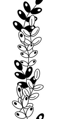 Leaves nature Seamless Vertical border. graphic line illustration. Hand drawn eucalyptus foliage, herbs, tree branches. Set of black silhouettes leaves and branches.
