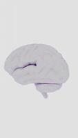 a brain scan with a white background video