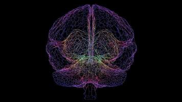 a computer brain with multiple colored lines video