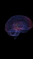 a brain scan with a blue and pink line video