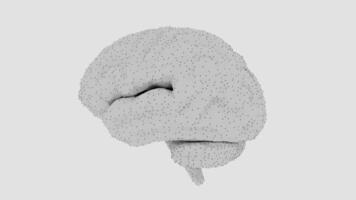 a white brain with dots on it video