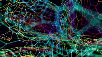 a computer generated image of a network of neurons video