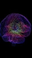 a brain with many colored lines on it video