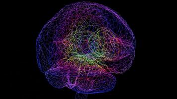 a brain with many colored lines video