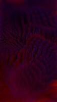 a red and purple background with a lot of clouds video
