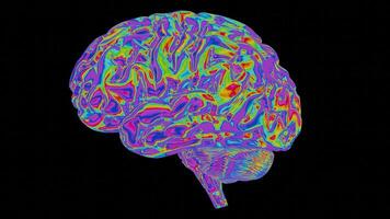 a brain with a lot of color video