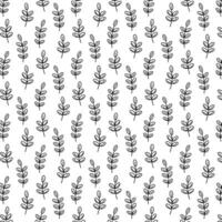 Tree branches with leaves Seamless pattern. graphic line illustration. Black and white background for banners, print for fabric, labels, t-shirt printing. vector