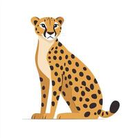 Cheetah sitting on a white background vector