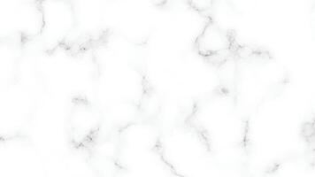 White Marble Background Texture. High-Resolution Stone Pattern vector