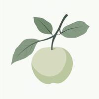 An apple with leaves and a stem on a white background vector