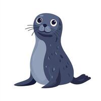 A cute seal sitting on a white background vector