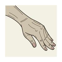 A detailed line drawing of a pale hand, fingers slightly splayed, suggesting a gesture of offering or receiving. The style is clean and anatomical. vector