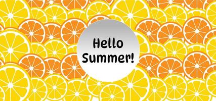 hello summer backround oranges vector