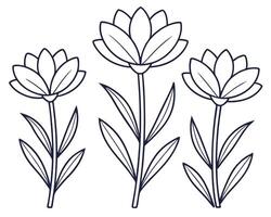 Simple outline illustration of three elegant stylized flowers with long stems and leaves vector
