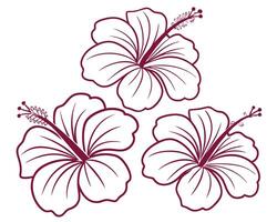 Beautiful three hibiscus flowers design in a flat and linear style for floral decoration. vector