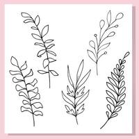 Hand Drawn Botanical Leaves Set Doodle Line Art vector