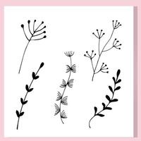Minimalist Botanical Branches Silhouette Set vector
