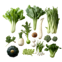 Assorted raw vegetables displayed in a colorful collection png