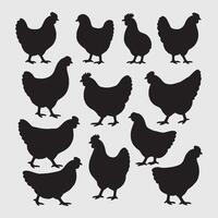 Set of chicken black silhouettes isolated on a white background vector