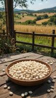 Harvested White Beans in Wooden Bowl on Farm Table photo