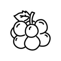 Compact grape cluster outline icon vector