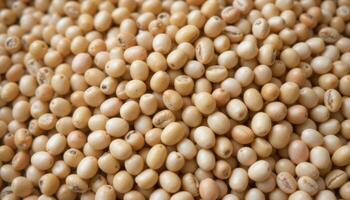 Heap of Dried Soybeans Healthy, Plant-Based Protein Source photo