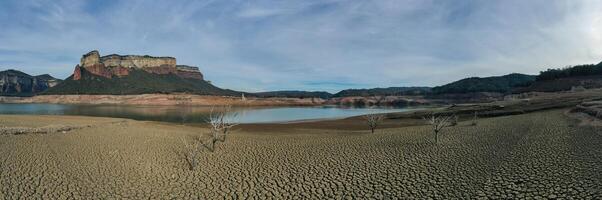 Panoramic aerial view of dry tree with all the ground cracked in Spain photo