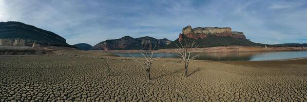 Panoramic aerial view of dry tree with all the ground cracked photo