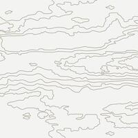 Wooden pattern. Tree fiber, wood grain texture. Dense lines. Abstract topographic background vector