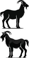 goat silhouette on white background vector