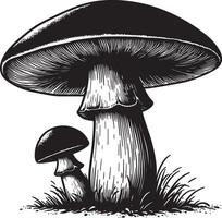 A black and white drawing of two mushrooms with detailed lines and grass around them vector