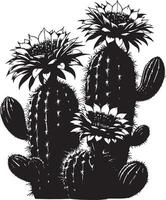A monochrome illustration of several cacti with large flowers in full bloom on top vector