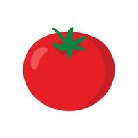 Flat tomato illustration with green stem on white background vector