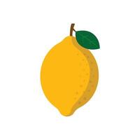 Fresh whole lemon with green leaf isolated on white background flat illustration vector