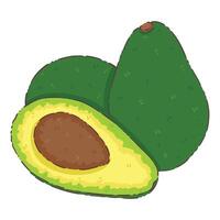 avocado fruit element vector