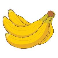 Banana fruit food vector