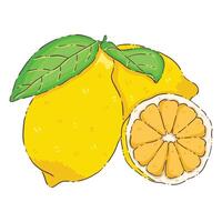 lemon fruit isolate vector