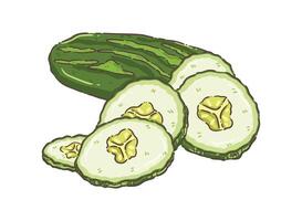 vegetable vecter cucumber isolate vector