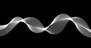 Black Abstract background with dynamic frequency waves. white wavy lines. illustration vector