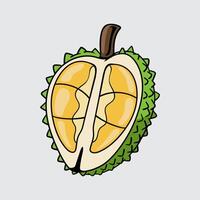 Durian fruit simple isolated cartoon illustration with a light background vector