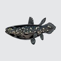 Coelacanth fish simple isolated cartoon illustration with light background vector