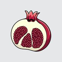 Pomegranate fruit simple isolated cartoon illustration with a light background vector