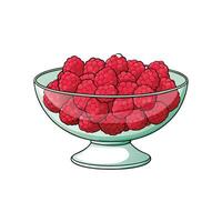 Bowl brimming with ripe red raspberries on white background vector