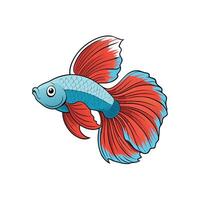 Colorful Betta Fish Illustration with Flowing Fins on White vector