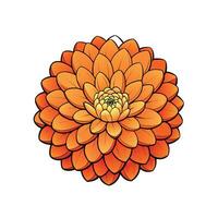 Vibrant orange dahlia flower graphic with bold black outlines vector