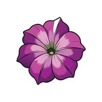 Vibrant petunia flower illustration isolated against a white background vector