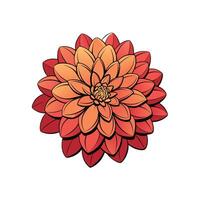 Stylized dahlia flower in shades of orange and red vector