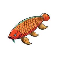 Arowana Fish Colorful Illustration isolated on white background image vector